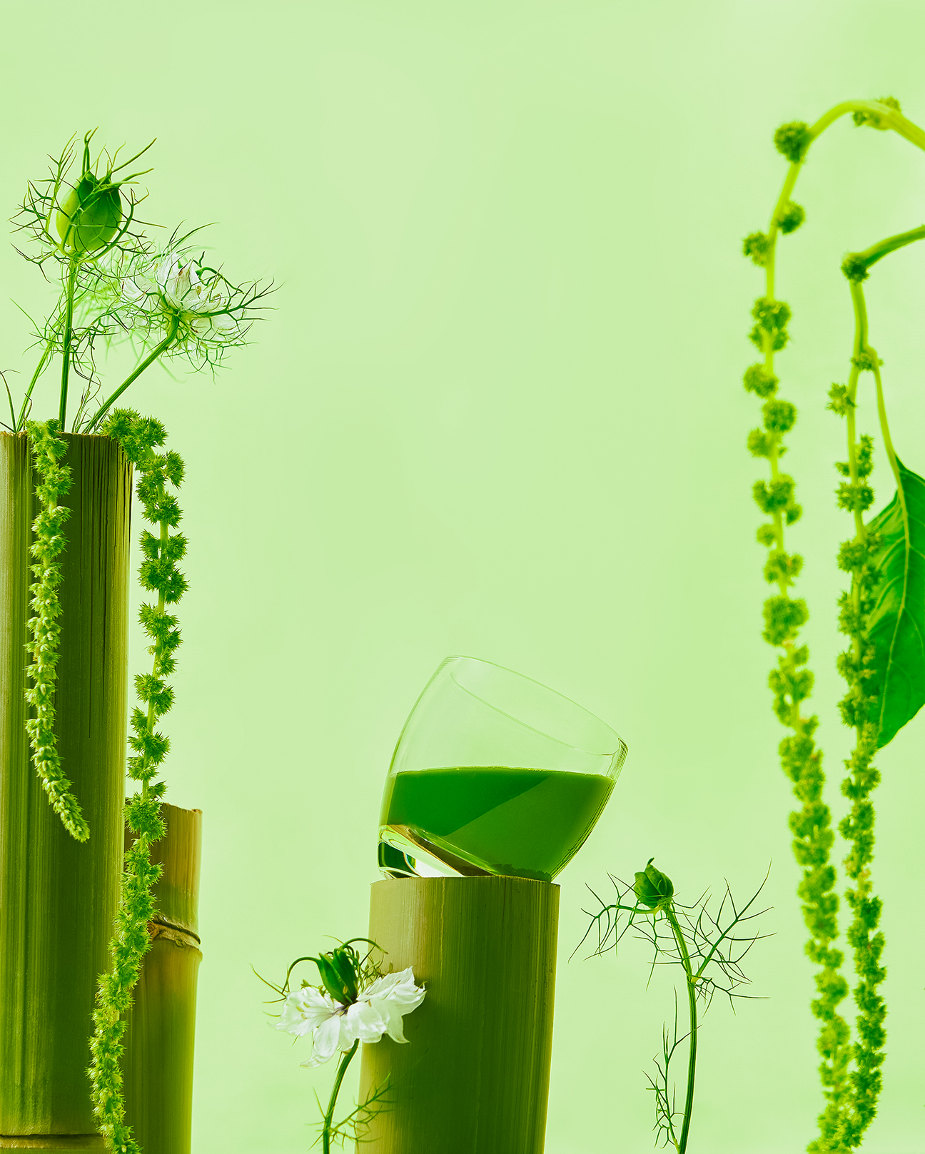 Matcha cup centered on top of bamboo