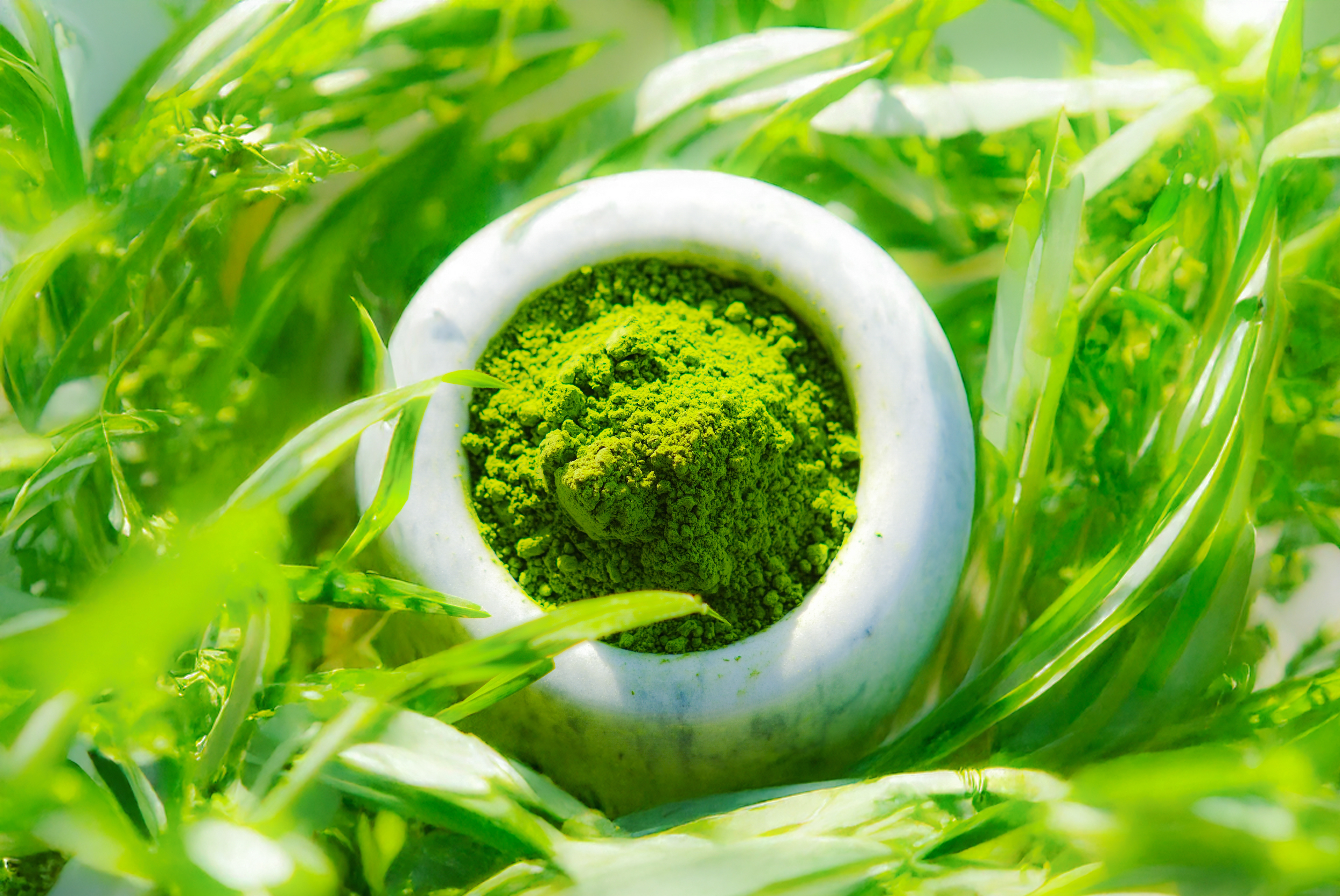 Matcha powder in a small circle surrounded by leaves