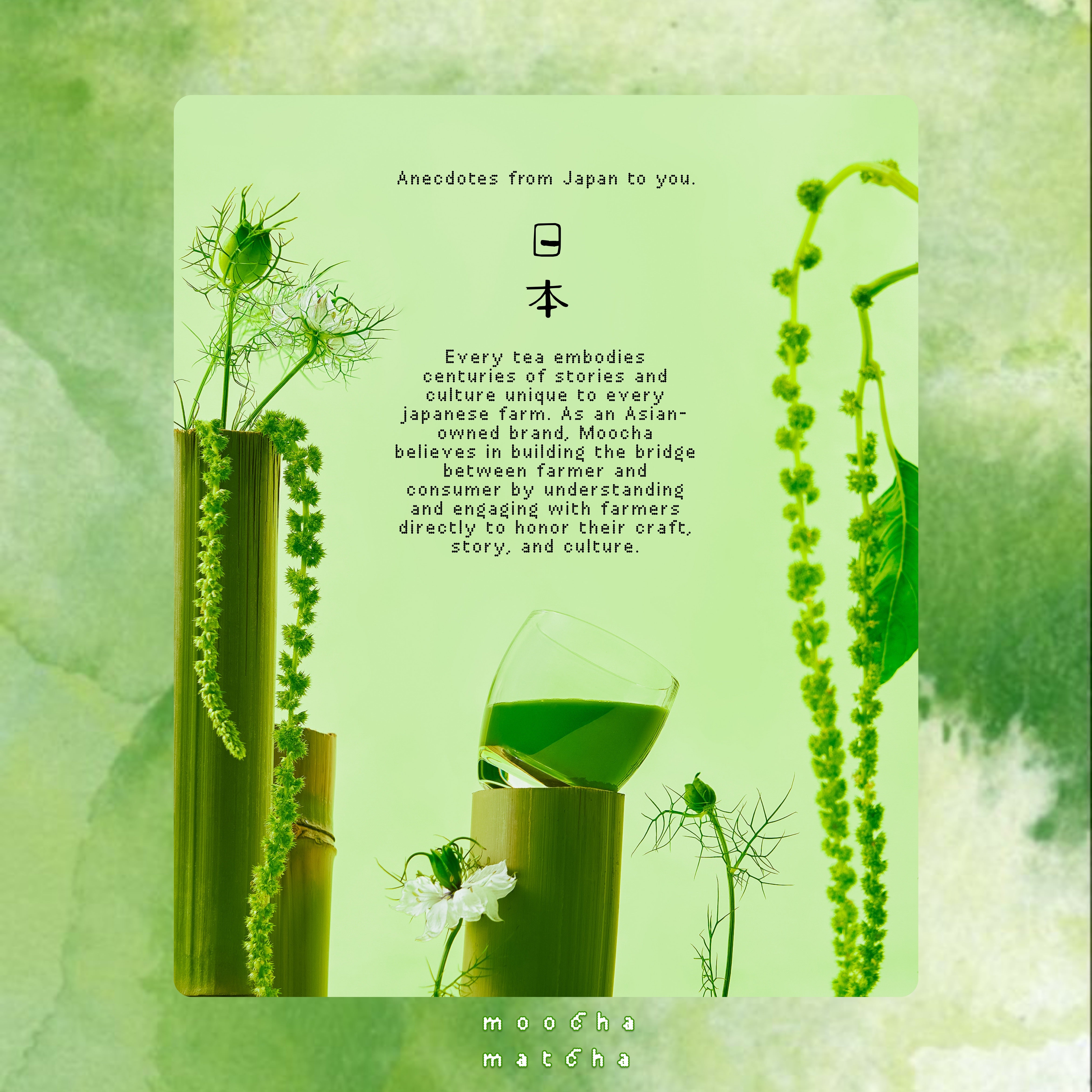 Aichi Matcha no.12 – Moocha Matcha