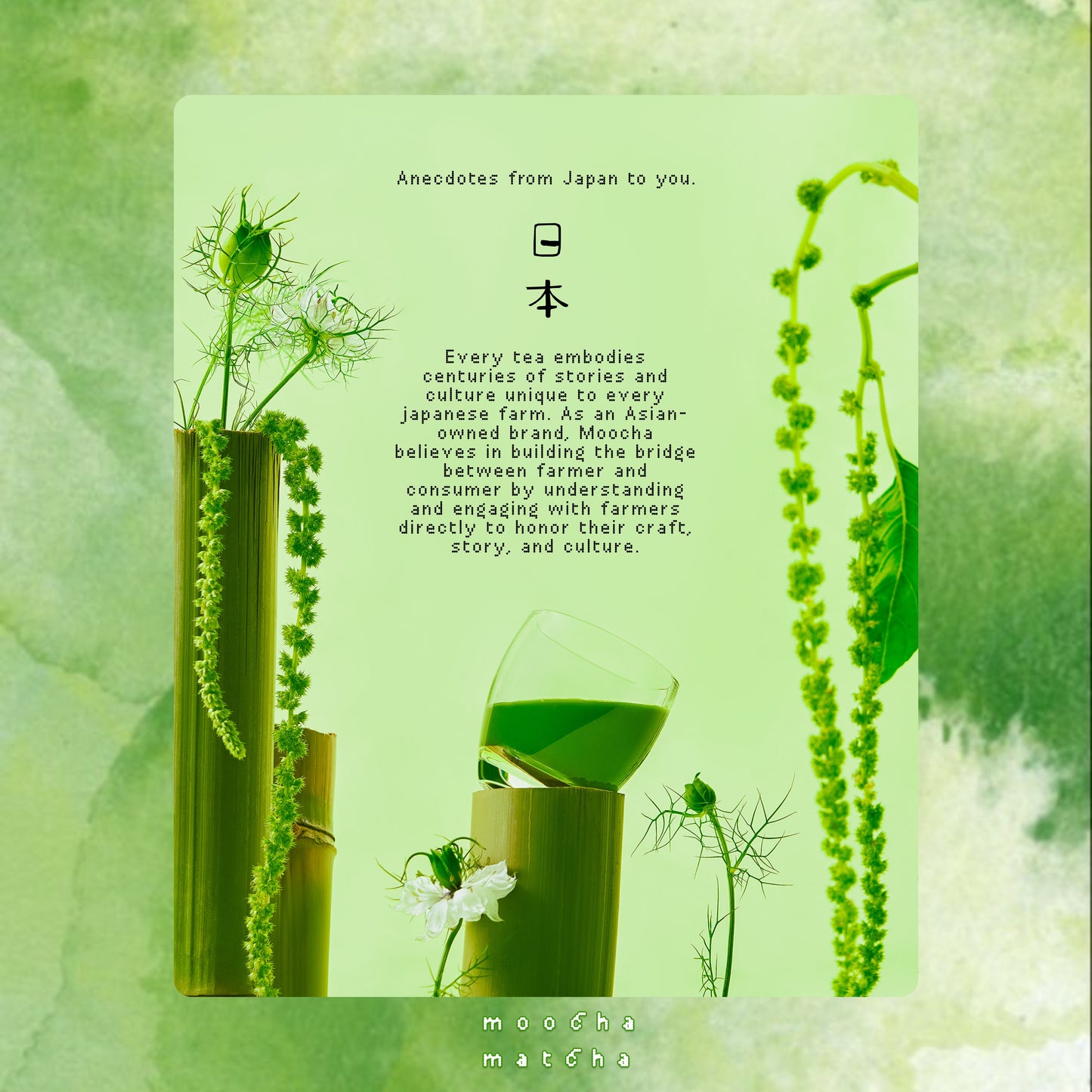 Moocha Tea Bundle